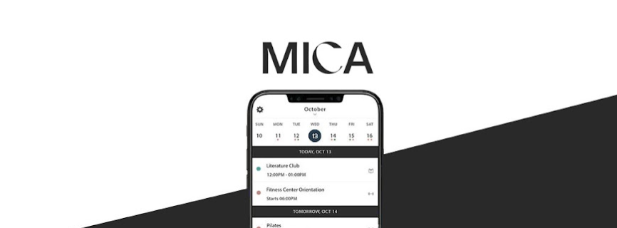 Mica Rino