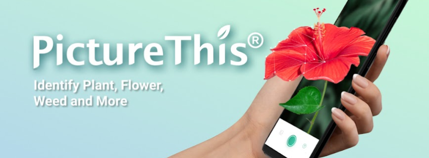 PictureThis – Plant Identifier